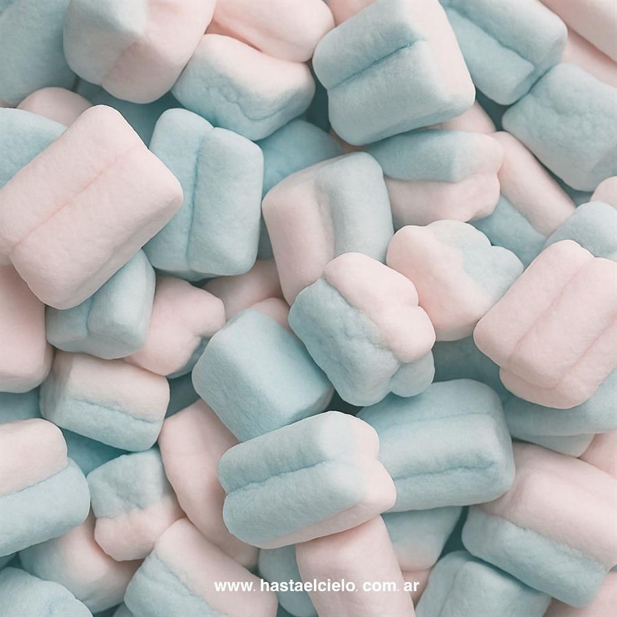 BOLSA MALVAVISCOS NUBE X200GR