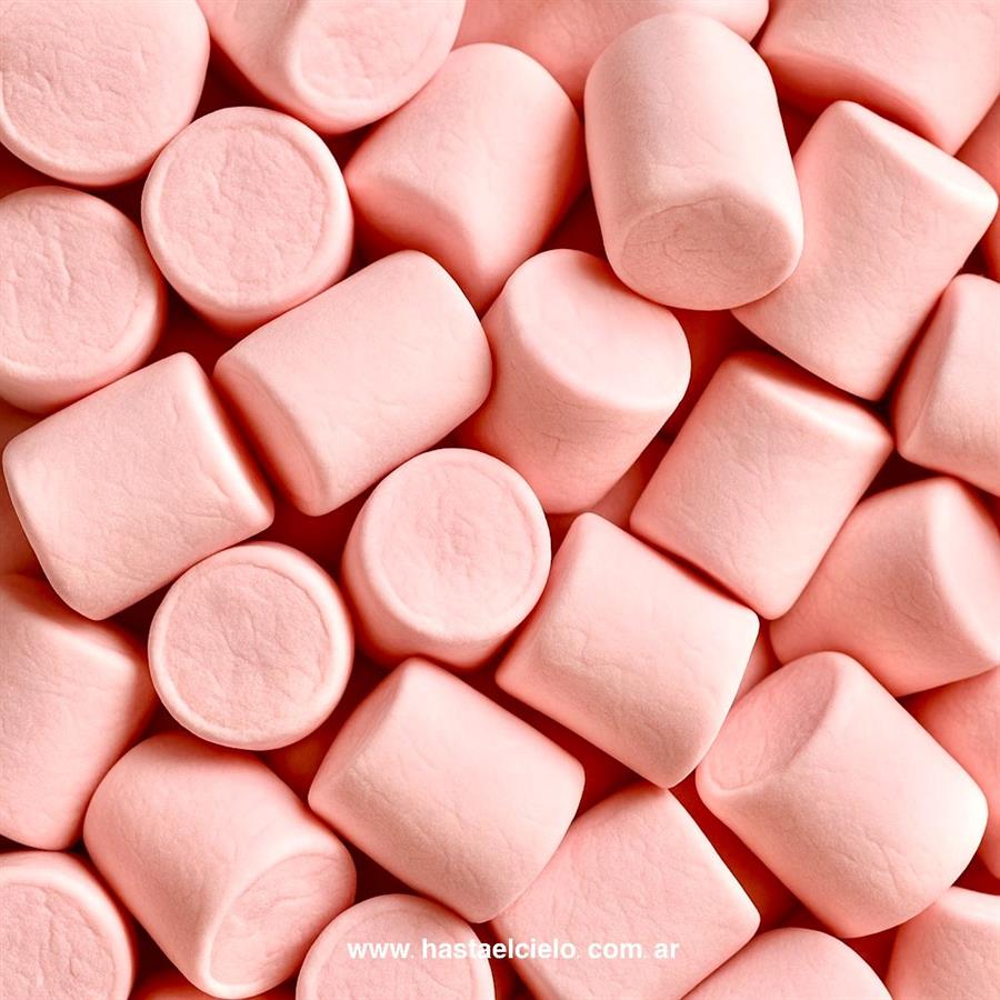 GONGYS MALVAVISCOS TRADICIONAL ROSA X200GR